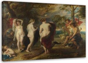 Obraz na plátně REPRODUKCE Pařížský soud - P. P. Rubens - 90x60 cm