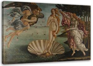 Obraz na plátně REPRODUKCE Zrození Venuše S.Botticelli, - 100x70 cm