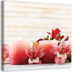 Obraz na plátně Květinové svíčky Zen Pink - 40x40 cm