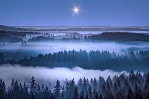 Fotografia Beautiful foggy forest, Aulanko, Hameenlinna, Finland, Milamai