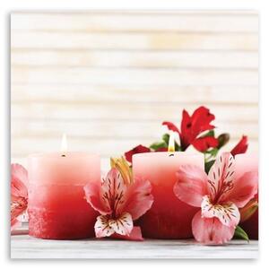 Obraz na plátně Květinové svíčky Zen Pink - 30x30 cm