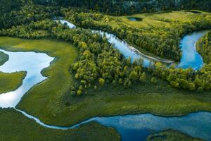 Fotografia Swamp, river and trees seen from above, Baac3nes