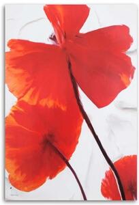 Obraz na plátně Makový květ Červená příroda - 40x60 cm