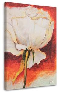 Obraz na plátně Květ pivoňky malovaný - 40x60 cm