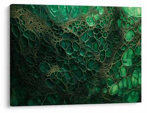 Obraz - Zelený mikroskopický záber (70x50 cm)