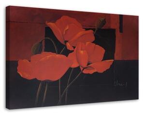 Obraz na plátně Květy máku Červená - 120x80 cm