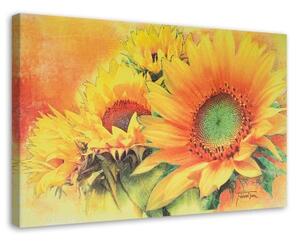 Obraz na plátně Slunečnice žlutá - 120x80 cm