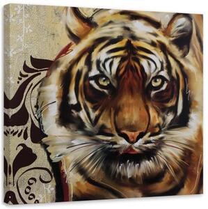 Obraz na plátně Tiger Afrika Zvířata - 40x40 cm