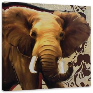 Obraz na plátně Slon Afrika Zvíře - 40x40 cm