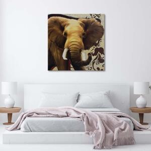 Obraz na plátně Slon Afrika Zvíře - 30x30 cm