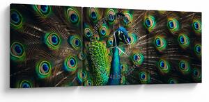Obraz – Páv (s hodinami) (90x30 cm)