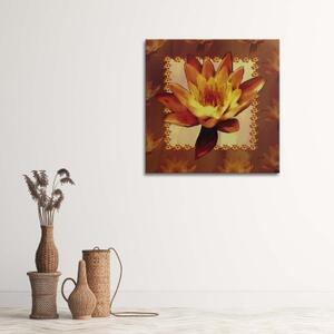 Obraz na plátně Vodní lilie Květiny Příroda - 30x30 cm