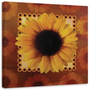 Obraz na plátně Příroda slunečnic - 40x40 cm