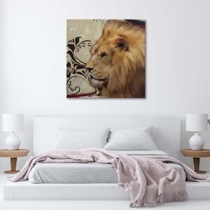 Obraz na plátně Lev Zvířata Afrika - 30x30 cm