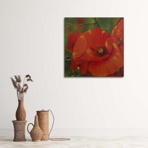 Obraz na plátně Červený mák Rostliny - 30x30 cm