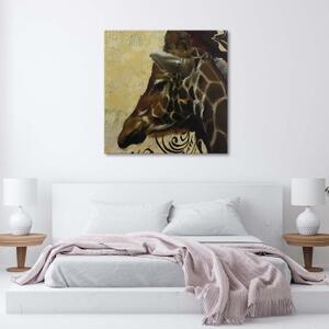 Obraz na plátně Zebra Zvířata Příroda - 30x30 cm