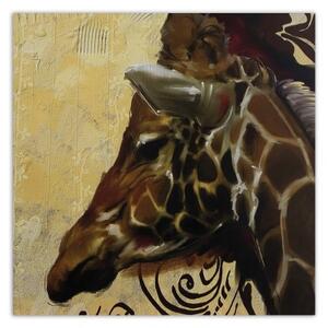 Obraz na plátně Zebra Zvířata Příroda - 30x30 cm