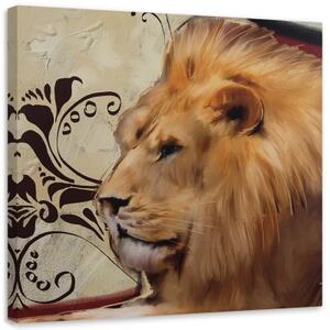 Obraz na plátně Lev Zvířata Afrika - 40x40 cm