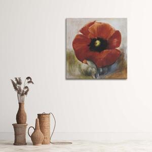 Obraz na plátně Květy máku Akryl - 30x30 cm
