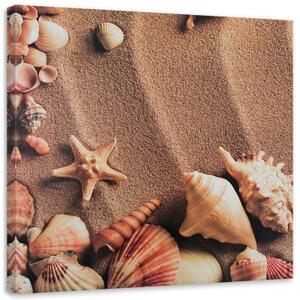 Obraz na plátně Mušle Mořský písek - 40x40 cm