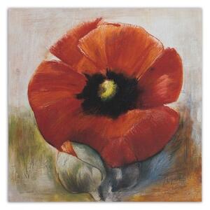 Obraz na plátně Květy máku Akryl - 30x30 cm