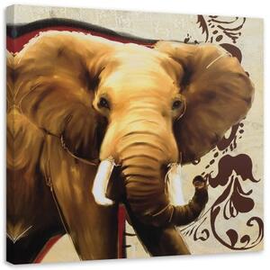 Obraz na plátně Sloní Afrika - 40x40 cm