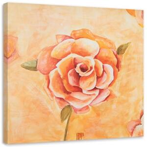 Obraz na plátně Oranžové růže Květiny - 40x40 cm