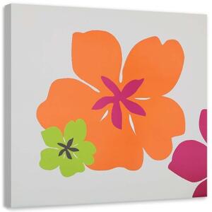 Obraz na plátně Barevné květiny - 40x40 cm