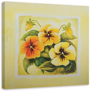Obraz na plátně Květy macešek - 40x40 cm