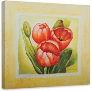 Obraz na plátně Červené tulipány Květiny - 40x40 cm