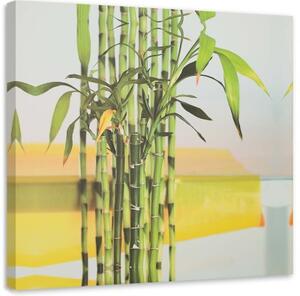 Obraz na plátně Bamboo Leaf Zen Spa - 30x30 cm