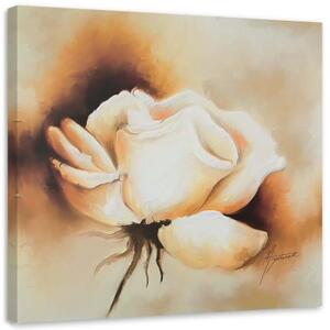 Obraz na plátně Růže Květina Bílá příroda - 40x40 cm