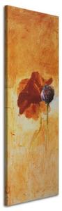 Obraz na plátně Červené vlčí máky Akrylová květina - 30x90 cm