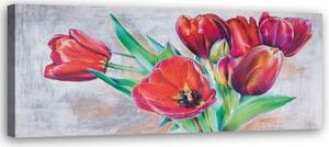 Obraz na plátně Červený květ tulipánu jako malovaný - 150x50 cm