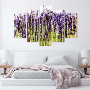 Obraz na plátně pětidílný Levandulové květy příroda - 100x70 cm