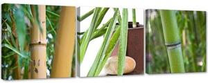 Obraz na plátně třídílný Bamboo Zen Spa - 90x30 cm