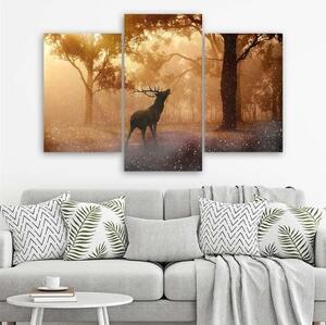 Obraz na plátně třídílný Jelení les Východ slunce Příroda - 60x40 cm