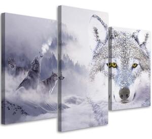 Obraz na plátně třídílný Šedý vlk Oblačný les - 90x60 cm