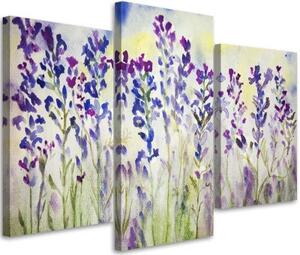 Obraz na plátně třídílný Polní květiny Fialová - 150x100 cm