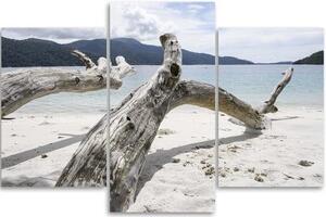 Obraz na plátně třídílný Větev stromu Moře Pláž Hory - 60x40 cm