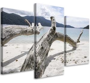 Obraz na plátně třídílný Větve stromů moře pláž hory - 120x80 cm