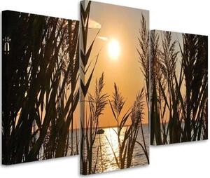 Obraz na plátně třídílný Západ slunce s mořskou trávou - 120x80 cm