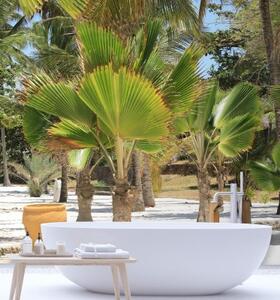Fototapeta, Palmy na tropické pláži - 100x100 cm