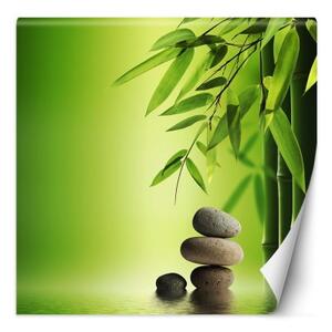 Fototapeta, Bambusové listy na zeleném pozadí - 150x150 cm