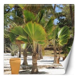 Fototapeta, Palmy na tropické pláži - 200x200 cm