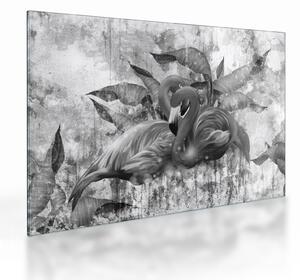Sklenený obraz - Plameniaky graffiti (70x50 cm)