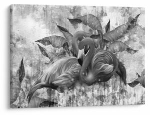 Obraz - Plameniaky graffiti (70x50 cm)