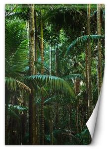 Fototapeta, Tropické stromy na ostrově - 100x140 cm