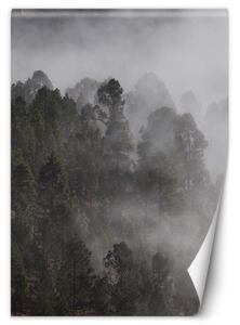 Fototapeta, Zelený les v mlze - 100x140 cm