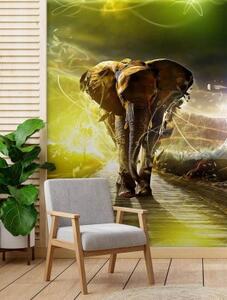 Fototapeta, Neonový slon Zvíře - 100x140 cm